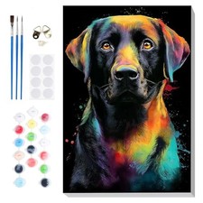 Framed Colorful Dog Paint by Numbers Kit Adults Beginners Wall Art 8x12"
