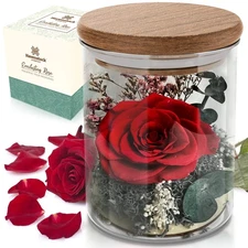 Red Rose in a Glass Dome - Premium Real Roses that Last a Year or More - Moth...