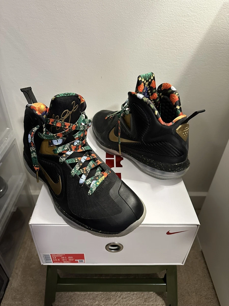 Nike LeBron 9 2022 Watch The Throne for Sale | Authenticity