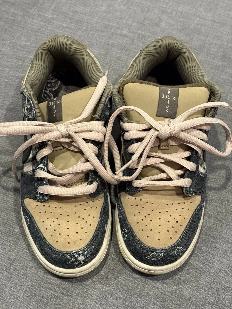 Nike Dunk Pro SB Low Cactus | eBay