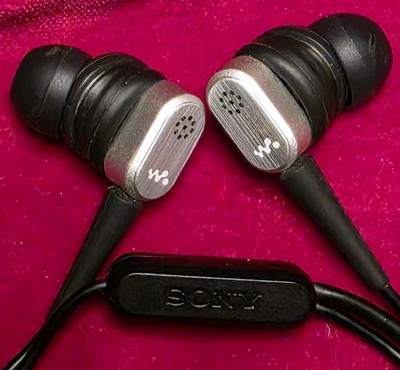 Sony Walkman NW-S705F Digital Player Bundle with OEM Earbuds
