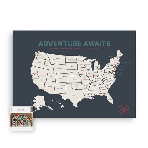 - USA State Travel Adventure Map Poster - Includes Push Pins - Grey / 24 x 17...