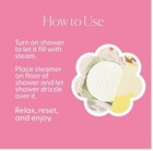 Musee Sea Salt and Grapefruit Shower Steamers 4-pack — photo 4