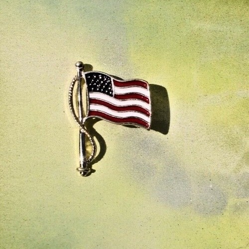 Broche Premier Designs Old Glory Bandera Americana Cuello Esmaltado Solapa Pin Nuevo de Edición - Imagen 3 de 4