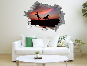 Two Black Horses Hole in The Wall 3D Effect Wall Sticker Art Decal Mural 1333
