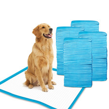 Gardner Pet Petfamily Super-Absorbent 24 By 24 Inches Dog Training Pads - 100