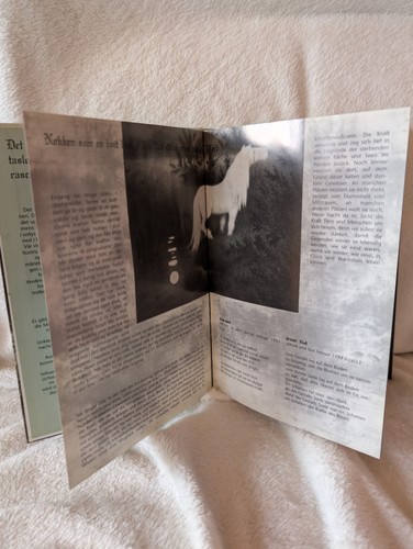 1Burzum - Filosofem. CD A5 Digibook, 1996. Ltd Edition, Rare! - Picture 14 of 16
