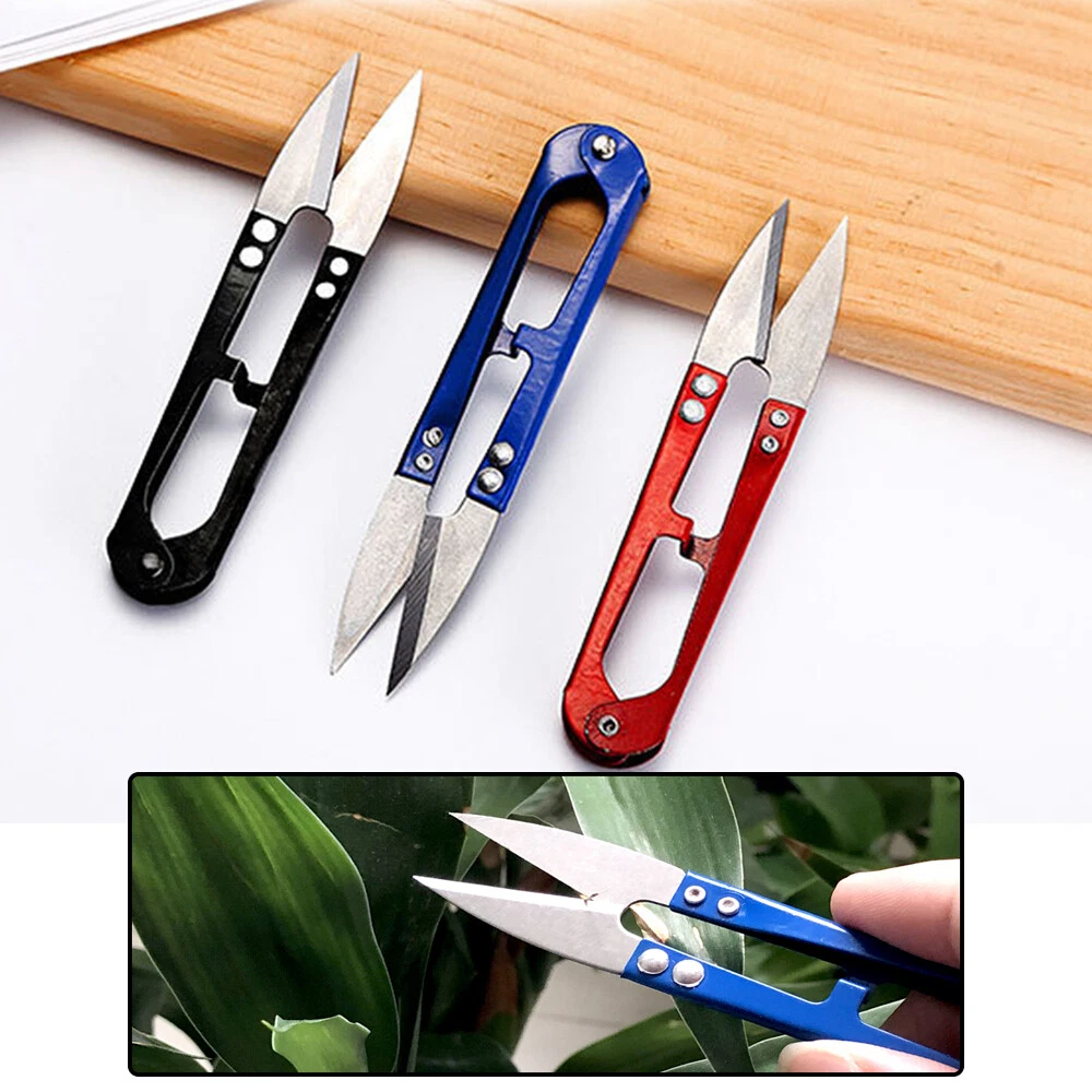 Scissors 2024 plant cutting