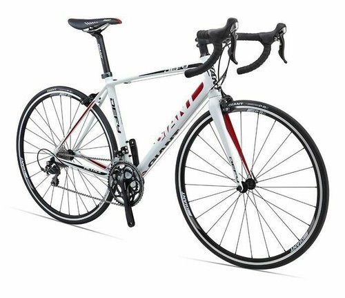 Used] GIANT FCR 1 Aluminum Frame 420mm 2006 Super Rare | eBay