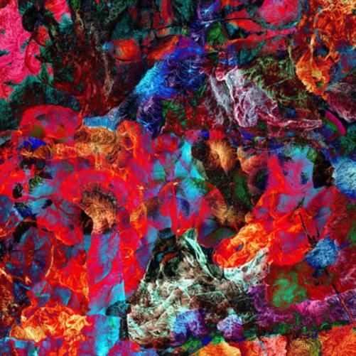 San Leo Aves Raras (CD) Album