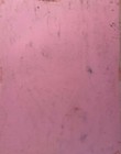 Bild 5 von 12