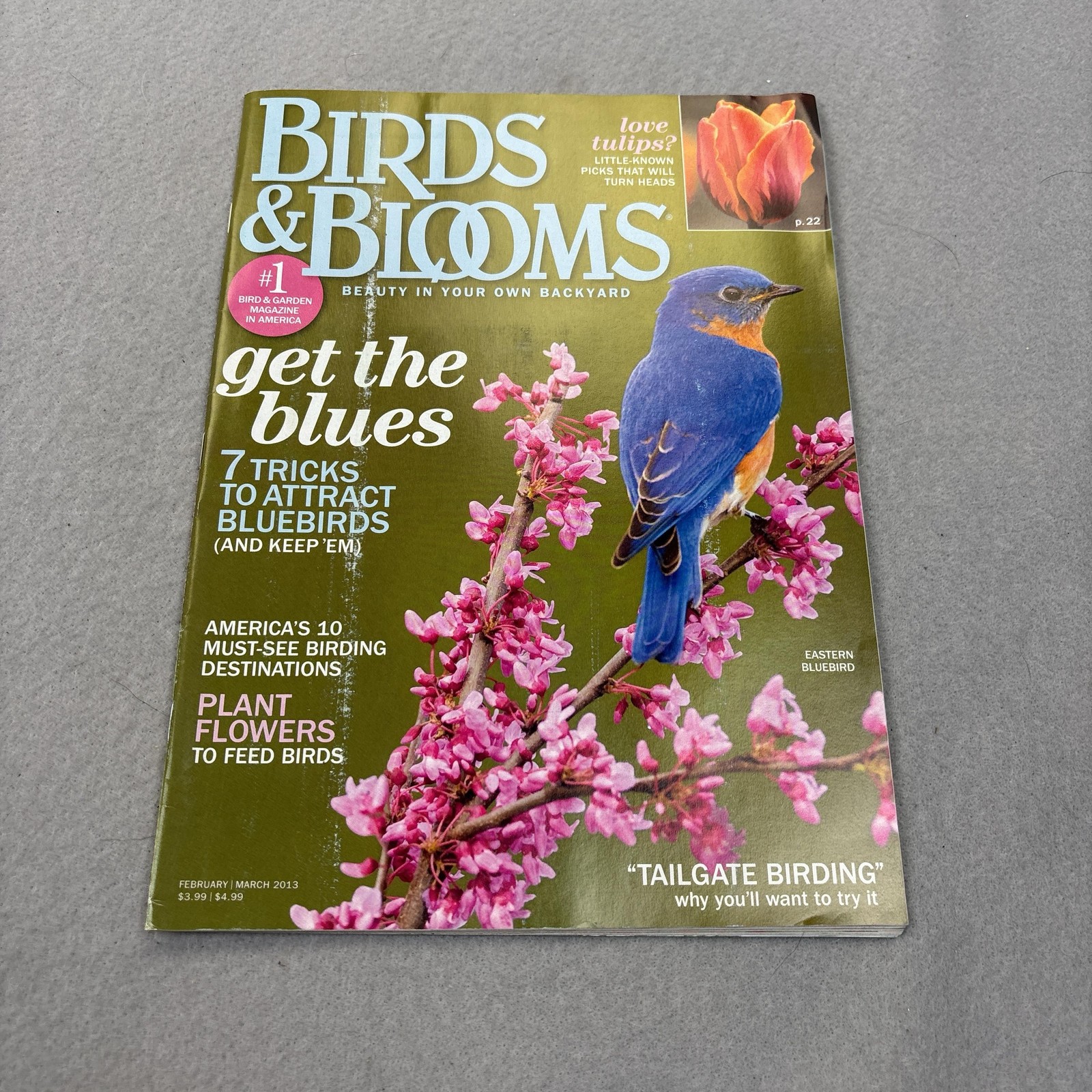 Birds & Blooms Magazine Feb/Mar 2013 Green Illustrated Nature Gardening USA