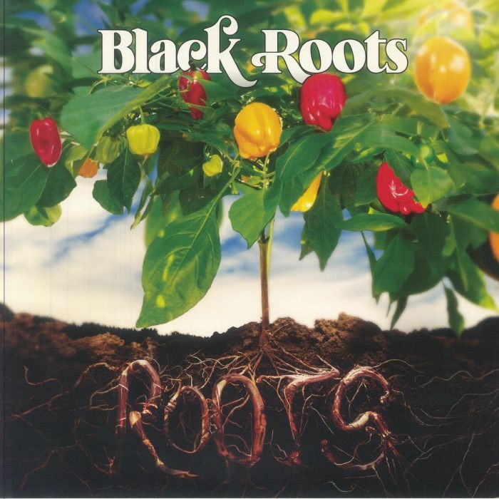 BLACK ROOTS - Roots (Record Store Day RSD 2025) - Vinyl (LP)