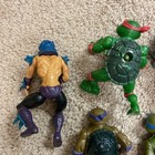 Picture 17 of 19