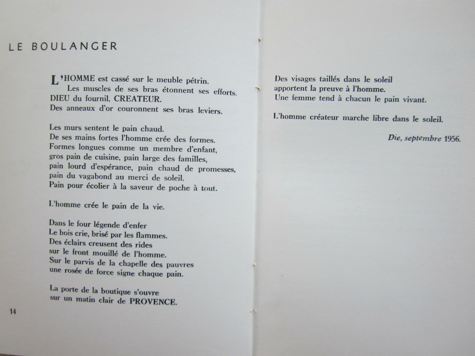 Photo 6 sur 8