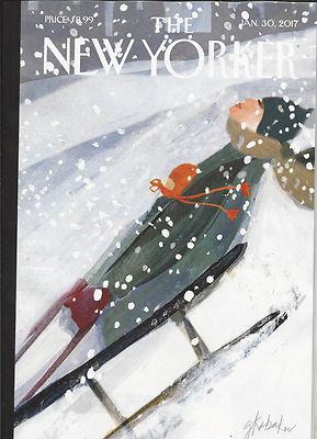 New Yorker Magazine Nuclear Winter And Climate Change Troll Of Internet Art 2017