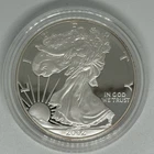 Photo of a 2002-W American Silver Eagle Proof from an eBay sale