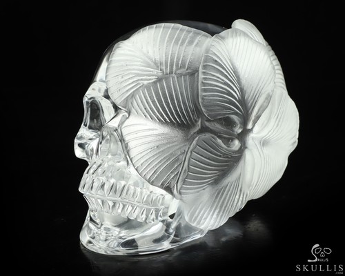 5.1" K9 Crystal Hand Carved Crystal Skull and Flower Fine Art Sculpture - Picture 9 of 9