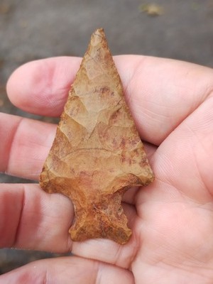 Just Beautiful Early Archaic Corner Notch Yellow Jasper Point Alabama 2 3/4''