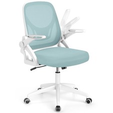 Mesh Office Chair, Ergonomic Desk Chair with Flip-up Arms  Lumbar Support, H...