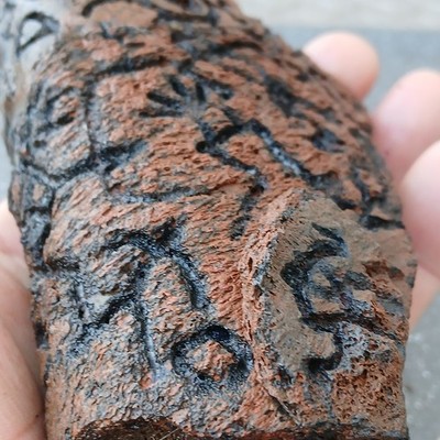Hawaii Chief Petroglyph Ancient Art Hawaiian Hieroglyph Rock Stone Tiki Carving