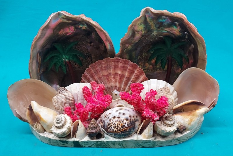 Signed 1959 St. Peterburg FLORIDA Sea Shell Art / Large Impressive Piece 