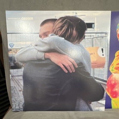Brockhampton Ginger/Iridescence Vinyl Bundle