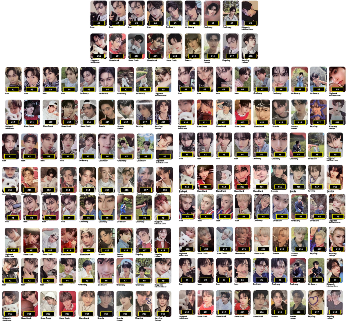 ZEROBASEONE ZB1 NEVER SAY NEVER OFFICIAL ALBUM PHOTOCARD ICON