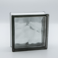 Basic Glasbaustein Wolke Grau, 19 X 19 X 8 Cm - 6 StüCk