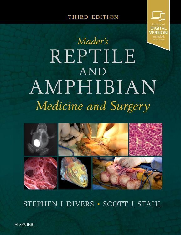 Thumbnail - Mader's Reptile And Amphibian Medicine And Surgery Stephen J. Divers