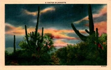 43566 TEXAS, SAN ANTONIO, Lois Postcard