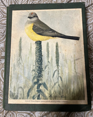 The Bird Life of Texas by Harry C. Oberholser (1974) 2 Vol. Set