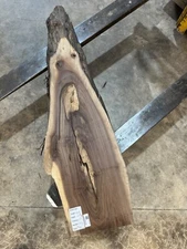 Black Walnut Slab #1953, live edge slab, unfinished, free shipping