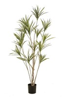 Artplants KüNstlicher Dracaena Marginata Shallu, KunststäMme, GrüN, 180Cm