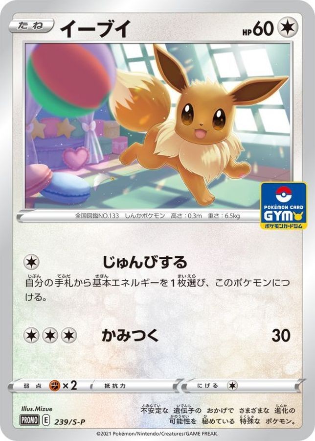 Eevee 239/S-P GYM PROMO - Pokemon Card Japanese [Near Mint]
