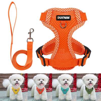 Dog Harness Adjustable Puppy Cat Harness Vest Pet Outdoor Walking Collar Leash