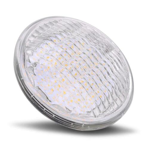 PAR36 LED 12 Watt Light Bulb Outdoor Garden Landscape Lighting Low Warm White - Picture 5 of 5