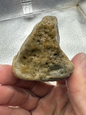 Indiana Ohio River Glacier Erratic Beach Polished Moss Agate 638 Carats