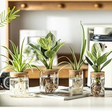 Irrigation modern plant vase set of 4. Home decore. Does not come with planta