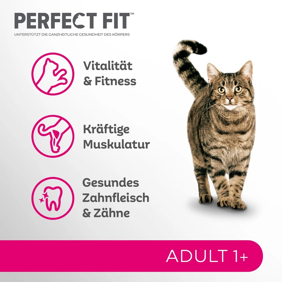 14kg Perfect Fit Katzenfutter Trockenfutter Adult Active 1+ mit Lachs - Bild 2 von 4