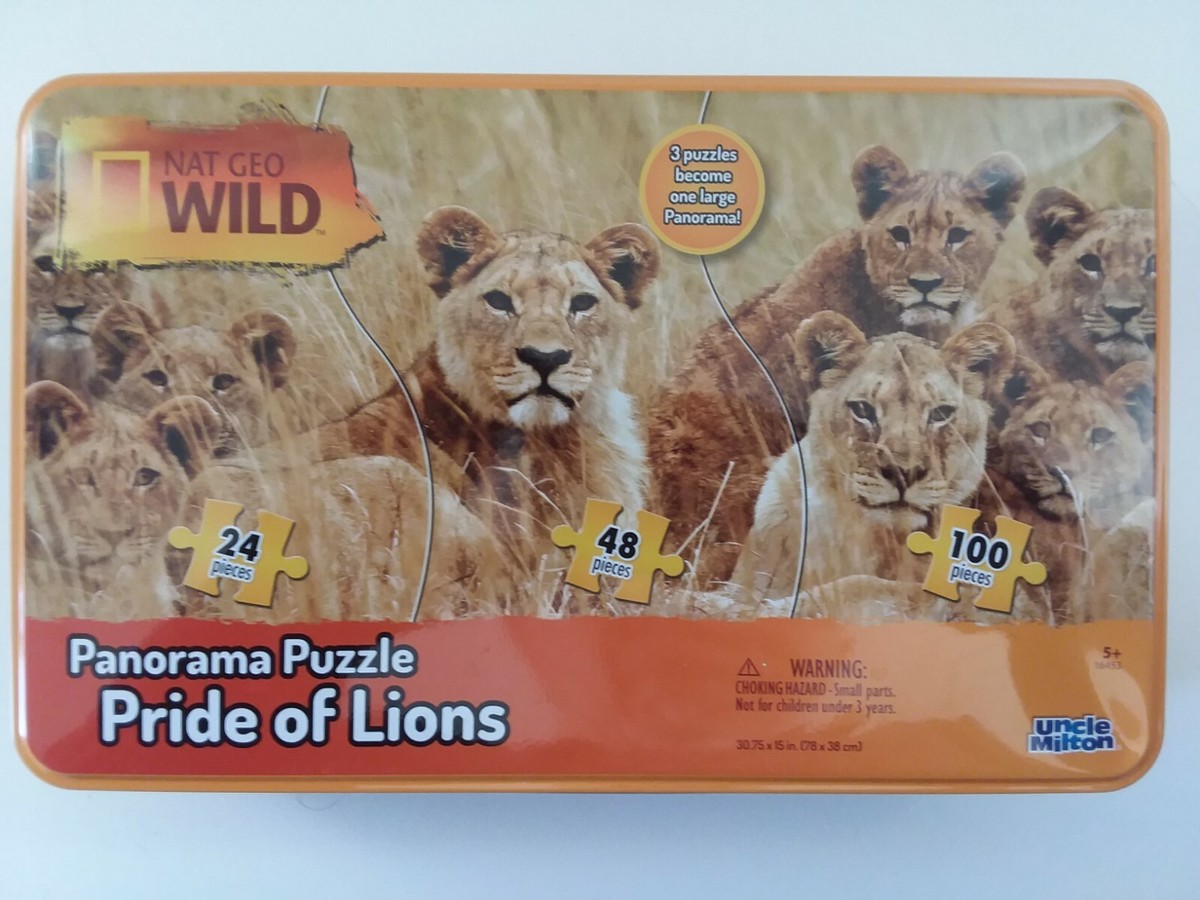 Pride of Lions 3 Section Panoramic Puzzle 24/48/100 pcs Each 15x31