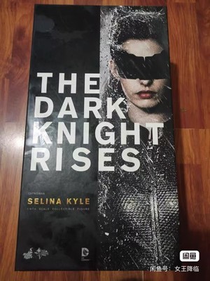 Hot Toys 1/6 MMS188 The Dark Knight Rises Batman Selina Kyle Catwoman Normal Ver