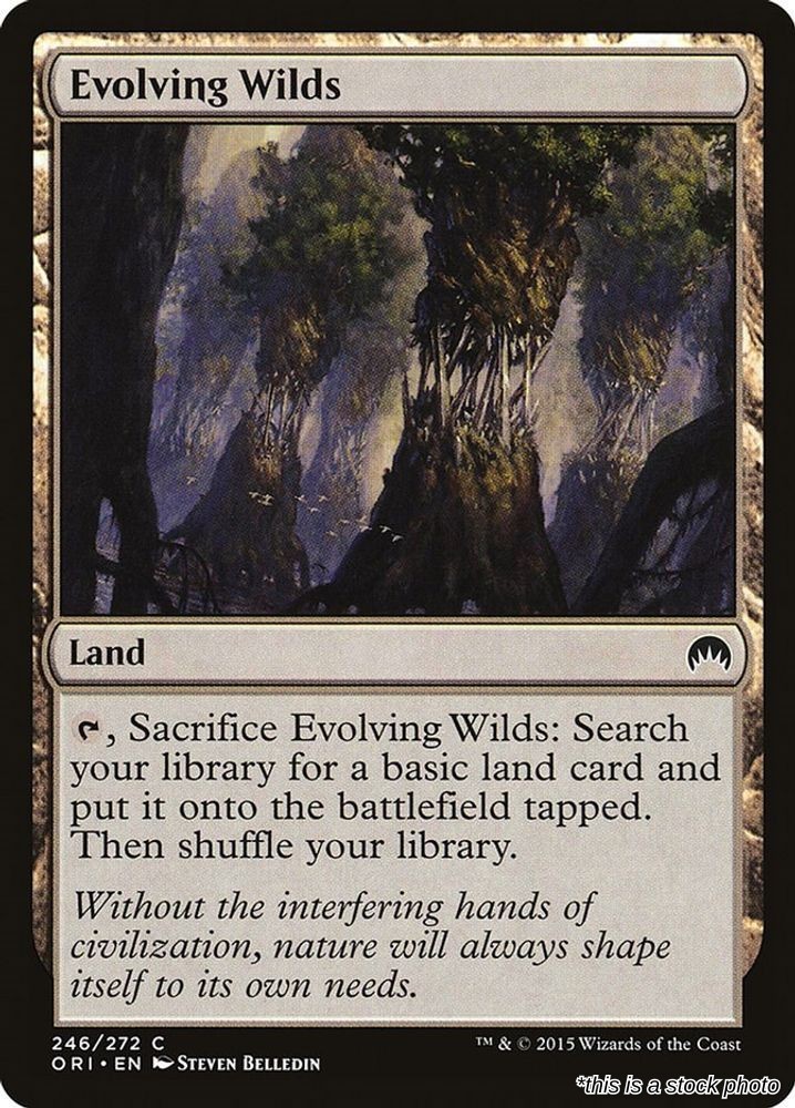 Magic Evolving Wilds 246 NM Magic Origins Common