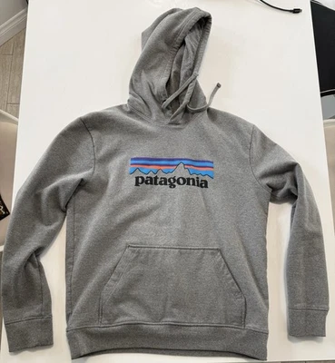 Patagonia Sweat à Capuche Gris Hoody Logo Uprisal Homme Medium - Photo 1/4