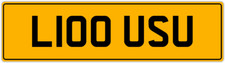 LOUISE LUIS LOUIS LOUIE LOU LOOE LU LOO LOOE PRIVATE REGISTRATION PLATE L100 USU