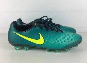 magista opus ag mens
