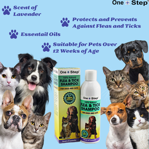 Flea & Tick 250ml Shampoo + 250ml Spray Dogs & Cats 100% Natural Allergen Free - Picture 8 of 9