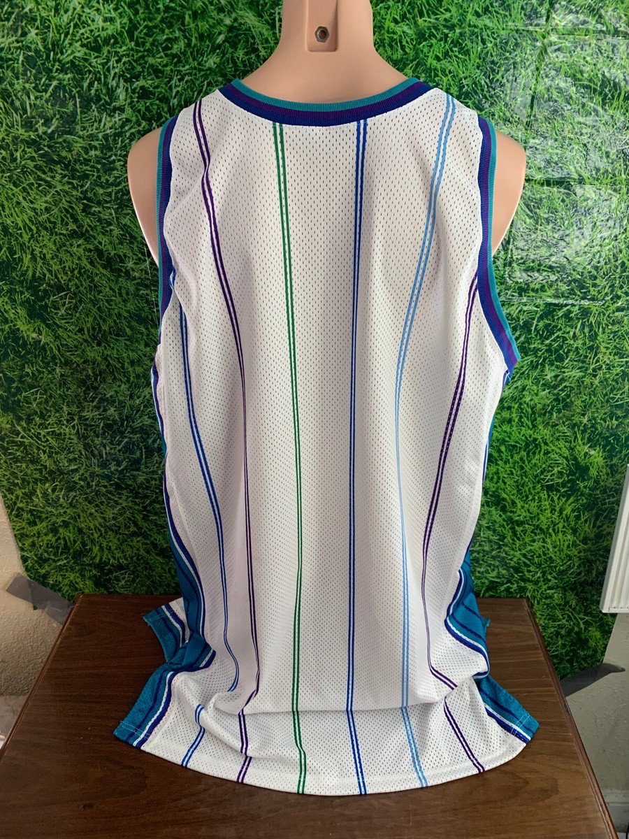 2000-2001 Charlotte Hornets Basketball Blank White Game Jersey