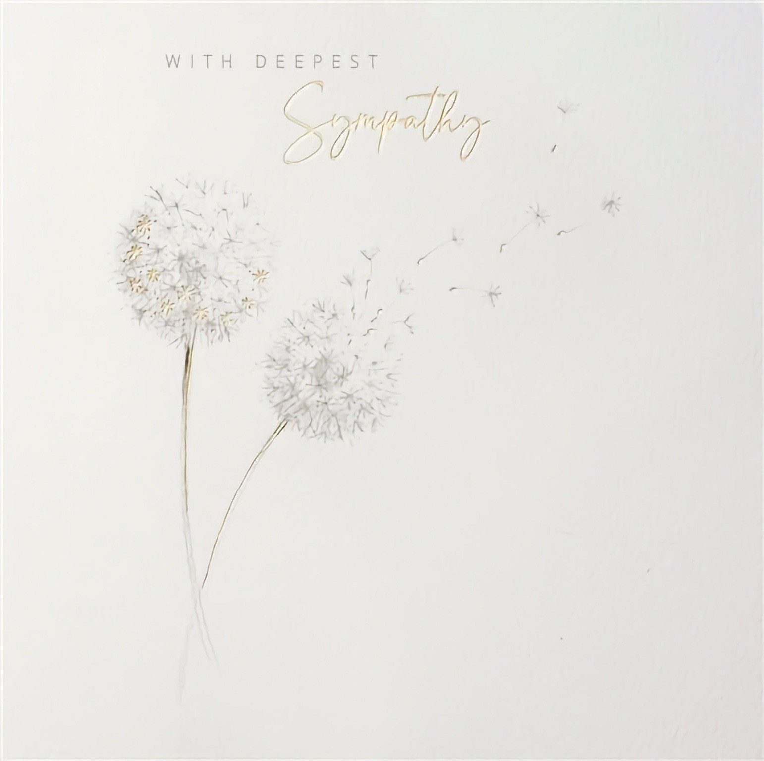 With Deepest Sympathy Premium Card Condolences Bereavement Sorry For Your Loss