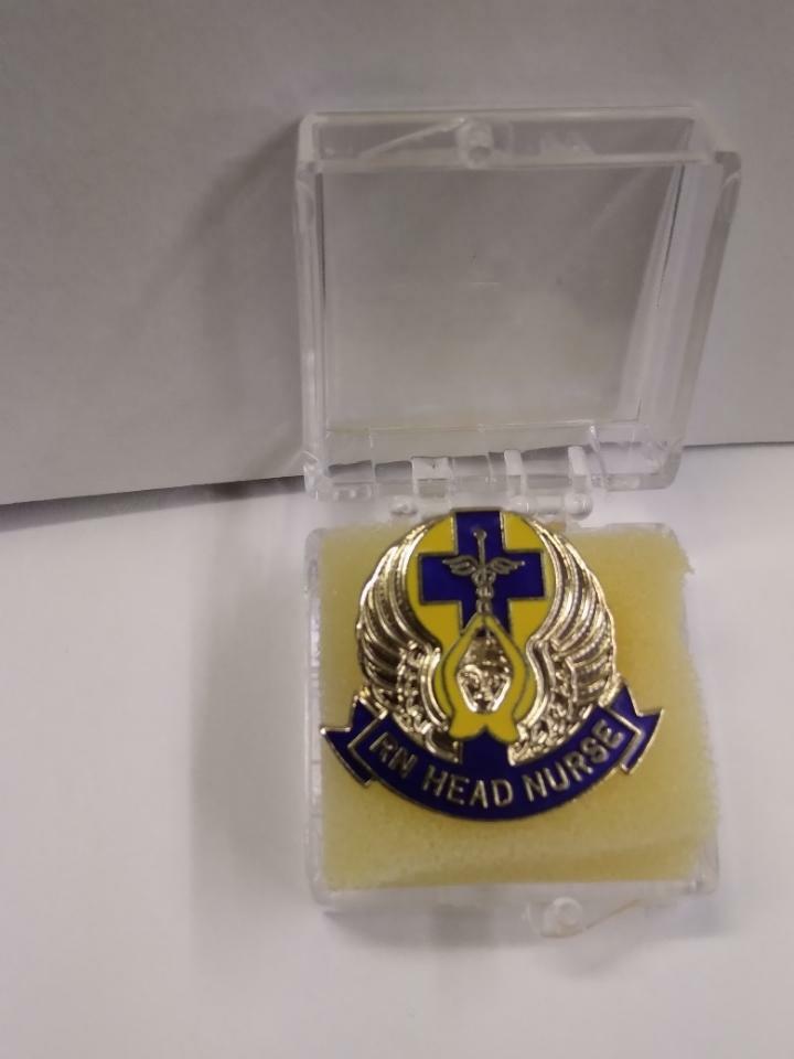 как выглядит RN Registered Head Nurse Pin Blue Cross Medical Insignia Emblem Caduceus 967 New фото